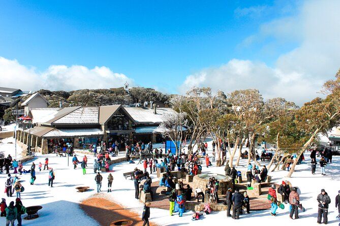 Mount Buller 1 Day Guided Tour