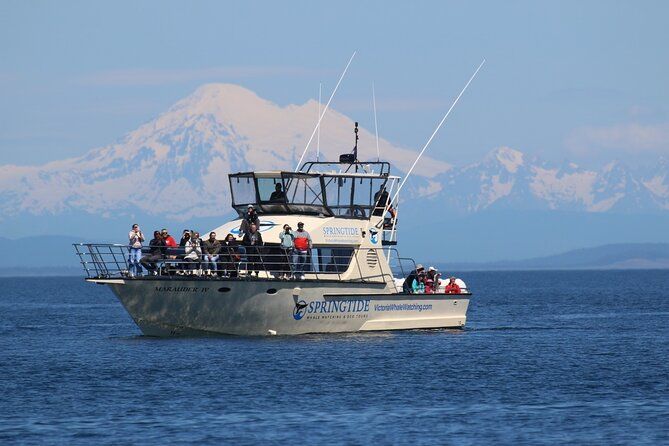 Victoria Whale Watch Tour