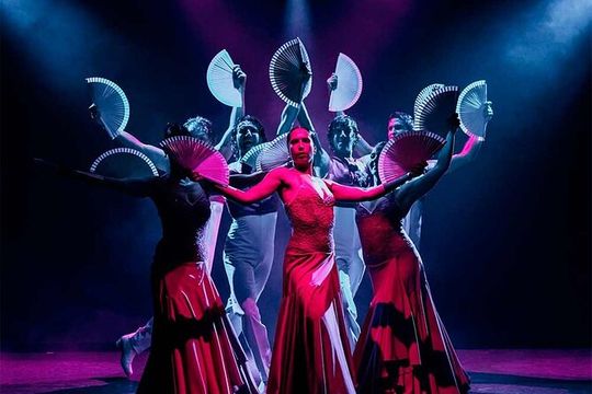 Olé Flamenco Show by Fran Chafino