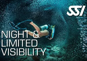 SSI Night Dive Specialty in Tenerife