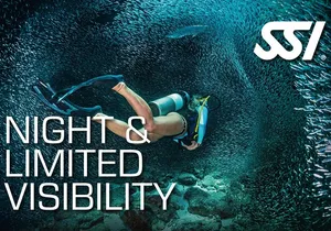 SSI Night Dive Specialty in Tenerife