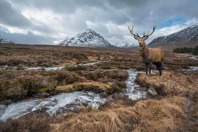 Private Luxury Tour of The Highlands and Loch Ness From Glasgow