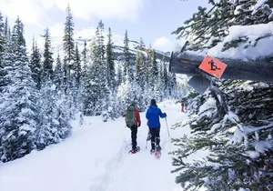 Snowshoeing in Kananaskis