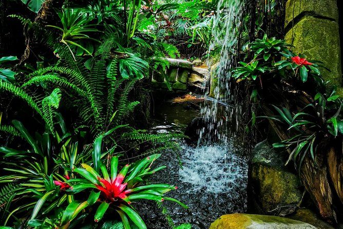 Ultimate Group Package Tour of Victoria