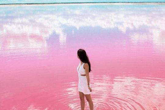 Las coloradas and rio lagartos full day tour