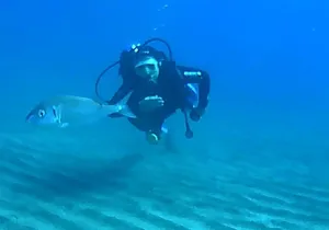 Scuba Diving with Expert Instructor