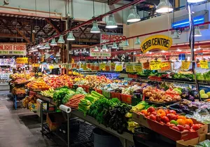 Vancouver Sightseeing Best Day Tour Private