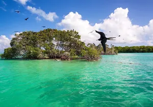 Natural Reserve of Sian Ka'an Tour !