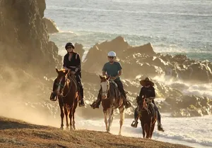 Horse Back Ridding Tour on the Pacific Ocean & Desert
