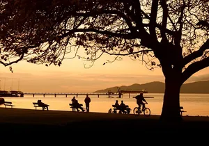 Private, Vancouver Sunset Bike/E-Bike Tour