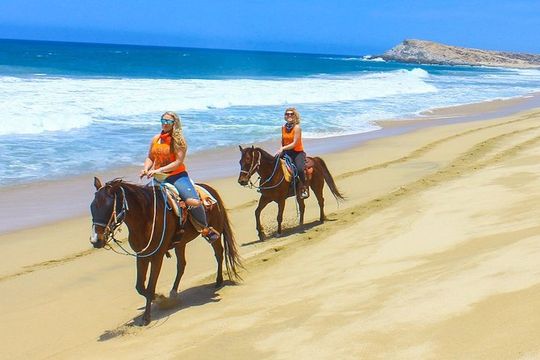 COMBO Horseback Riding & UTV Tour