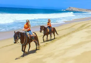 COMBO Horseback Riding & UTV Tour