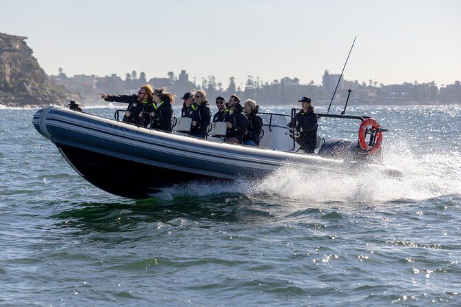 Sydney Whale Watching on ORCA Small RIB