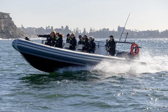 Sydney Whale Watching on ORCA Small RIB