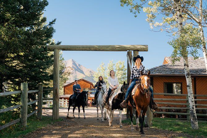 Valley Vista 1.5 Hour Horseback Trail Ride in Kananaskis