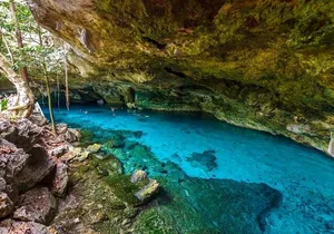 Magical adventure to Tulum, a giant sculpture and cenotes. Lunch included