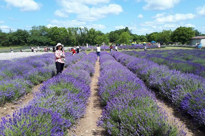 Full-Day Highlights of Prince Edward County Private Tour