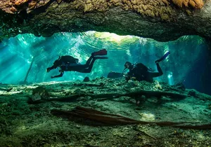 Go for 2 dives in cenote Dos ojos for certified divers