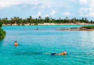 Rappel & ZipLine Experience and Snorkeling Lagoon & Cenote