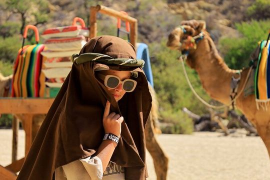 The Ultimate Camel Safari Experience in Los Cabos