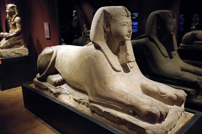 Turin: Egyptian Museum & city tour guided experience