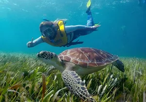 Amazing Snorkeling Experience in Cancun