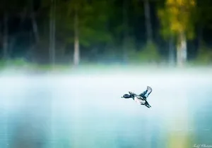 Fairbanks Private Photography Workshop