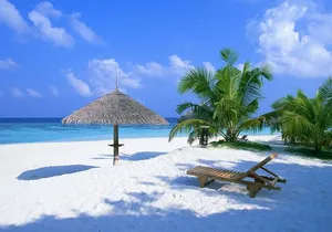 Contoy Reef & Isla Mujeres Tour! From Cancun & Playa del Carmen