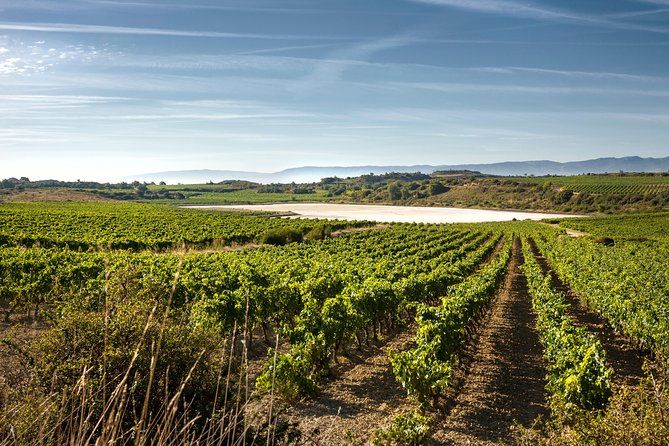 La Rioja wines and Laguardia tour from Bilbao