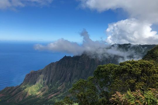 Kauai Island Tour : Journey to Waimea Canyon & More Highlights