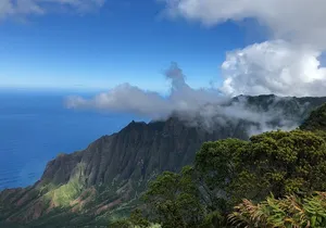 Kauai Island Tour : Journey to Waimea Canyon & More Highlights