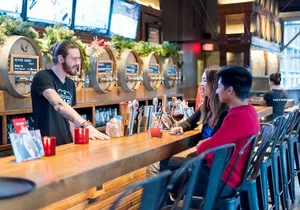 Full Day Best of Vancouver Private City Tour and Beer Tasting