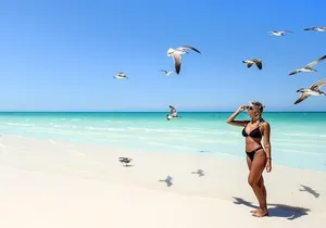 The magical Island of Holbox and Punta Mosquito