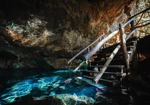 Explore Tulum and Dos Ojos Cenote with lunch and transportation