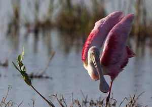 Private tour - Sian Ka´an Adventure