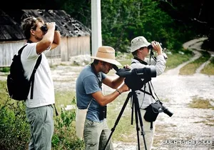 Bird Watching in Sian Ka´an Muyil