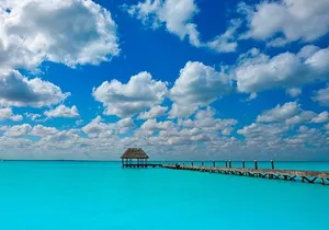 Holbox Tour! Nature Adventure from Cancun & Playa Del Carmen