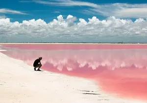 Adventour Day: Coloradas and Rio Lagartos Excursion from Cancun!