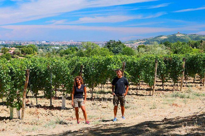 Winetour and tasting on Bologna hills, guided by the wine grower
