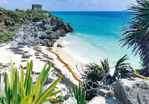 Visit Tulums Mayan Ruin Snorkeling with Turtles with from Cancun