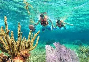 Amazing Snorkeling Experience + Real Mexican Tacos