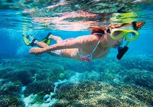 Basic Snorkel Experience in Cancun with Transportation