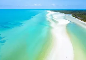 Tour in Holbox with Transportation and Lunch