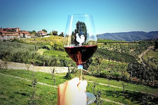 Livorno Shore Excursion: Chianti and Tuscany Countryside Private Wine Tour
