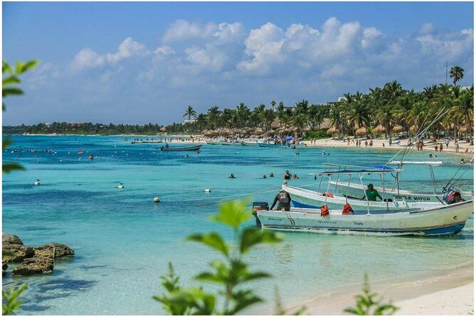 Private swiming with Turtles in Akumal
