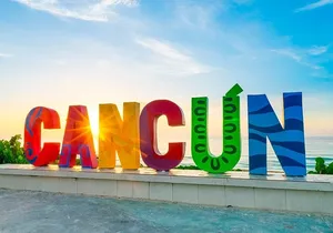 Private City-tour with Handicap van