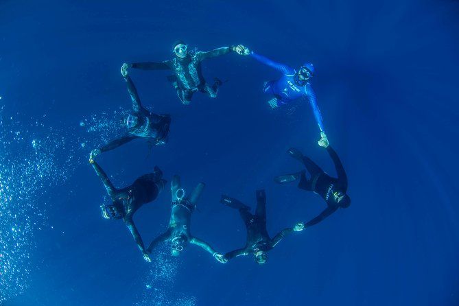 Apnea Discovery