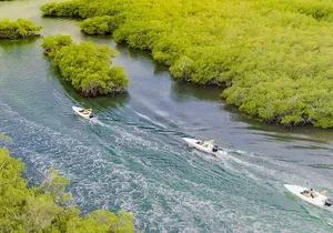 Jungle Tour . Lagoon, Mangrooves & Snorkel for Couples