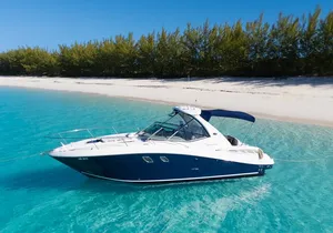 Swim with Famous Pigs at Rose Island