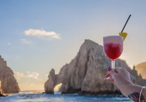 Tacos buffet & Open Bar Cruise! Los Cabos Round Transportation